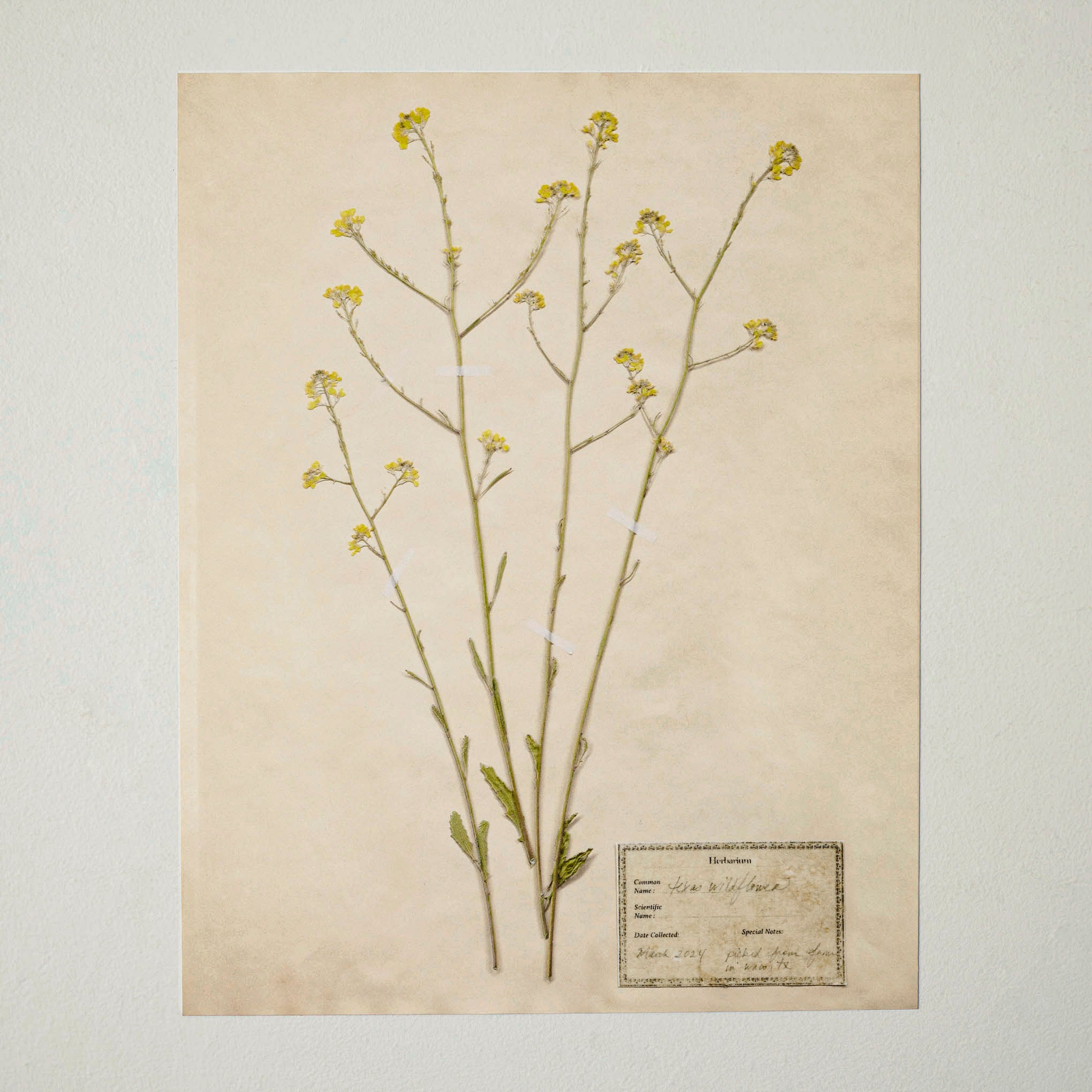 JHP0005_1